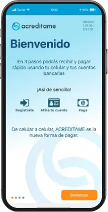 Pantalla celular