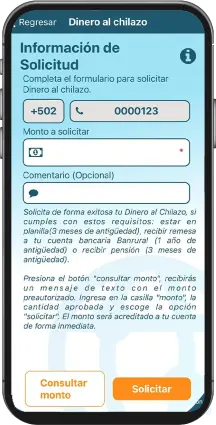 Pantalla celular