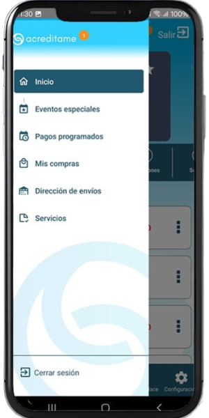 ser1